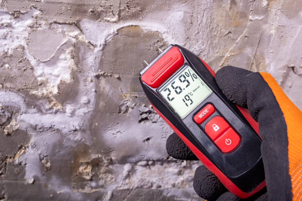 Professional Mold Remediation in Riverdale, IL