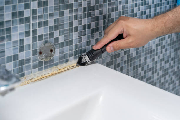 Best White Mold Remediation in Riverdale, IL