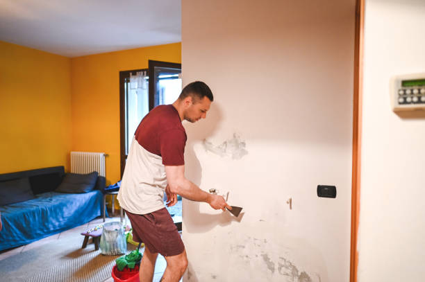 Best Preventive Mold Services in Riverdale, IL
